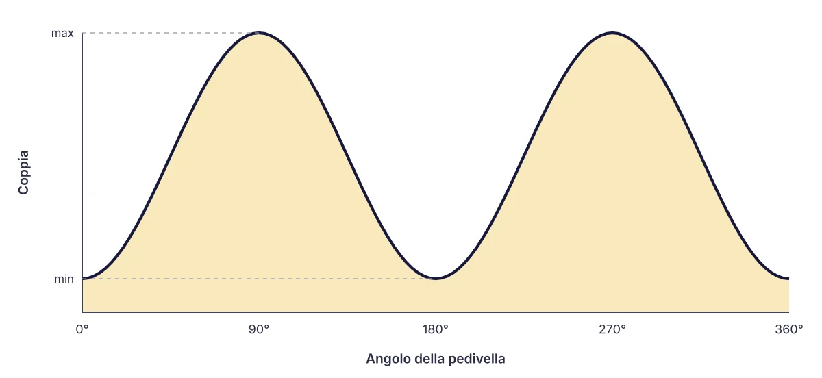 Coppia lungo un giro di pedivella: due picchi intorno a 90° e 270°